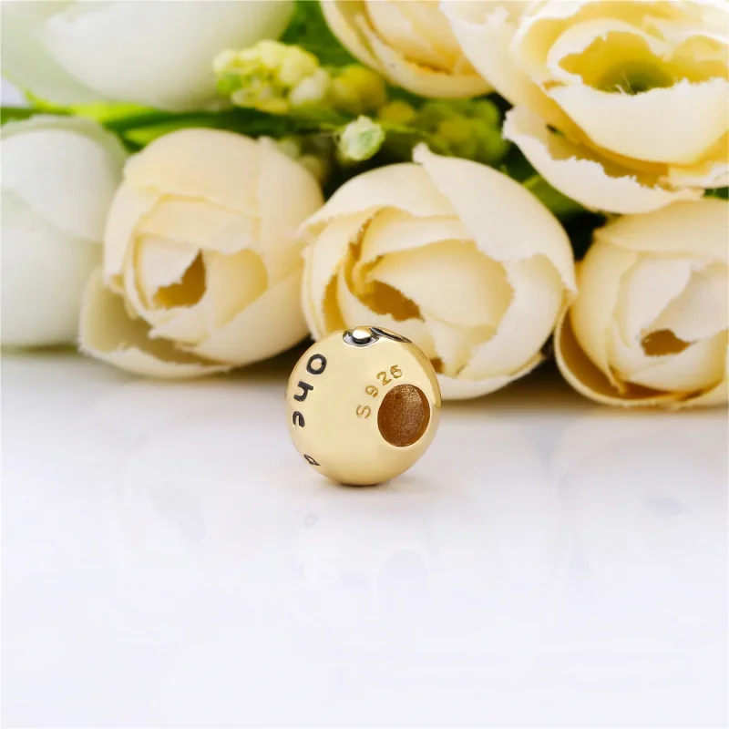 (slika za) Obesek PANDORA True Uniqueness - 767775EN16 - Ogled 4