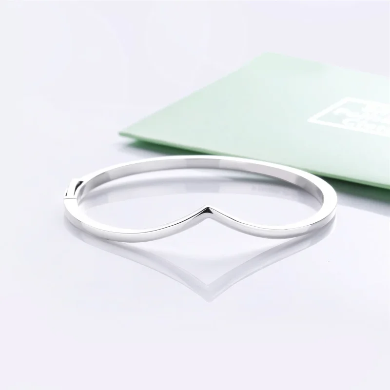 (slika za) PANDORA sijoča zapestnica želja iz srebra šterling - 597791 - Ogled 3