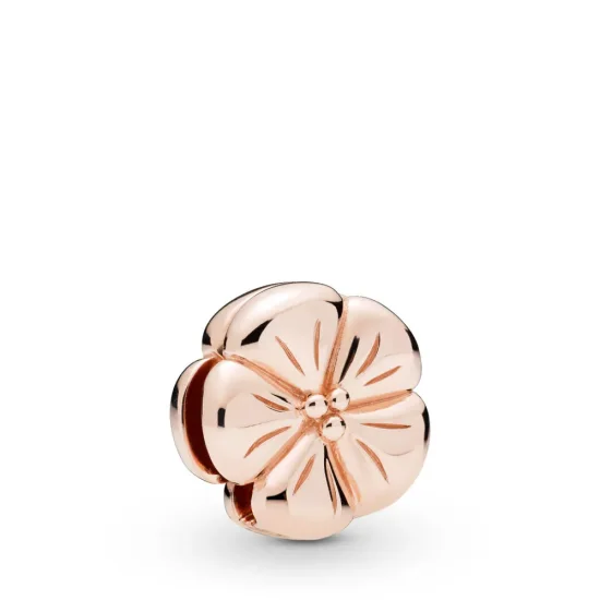 (slika za) Klasični obesek s sponkami za rože Pandora Reflexions™, Pandora Rose™ - 787897