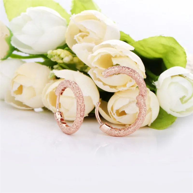 (slika za) Matte Brilliance obročasti uhani, Pandora Rose™ - 287930 - Ogled 4