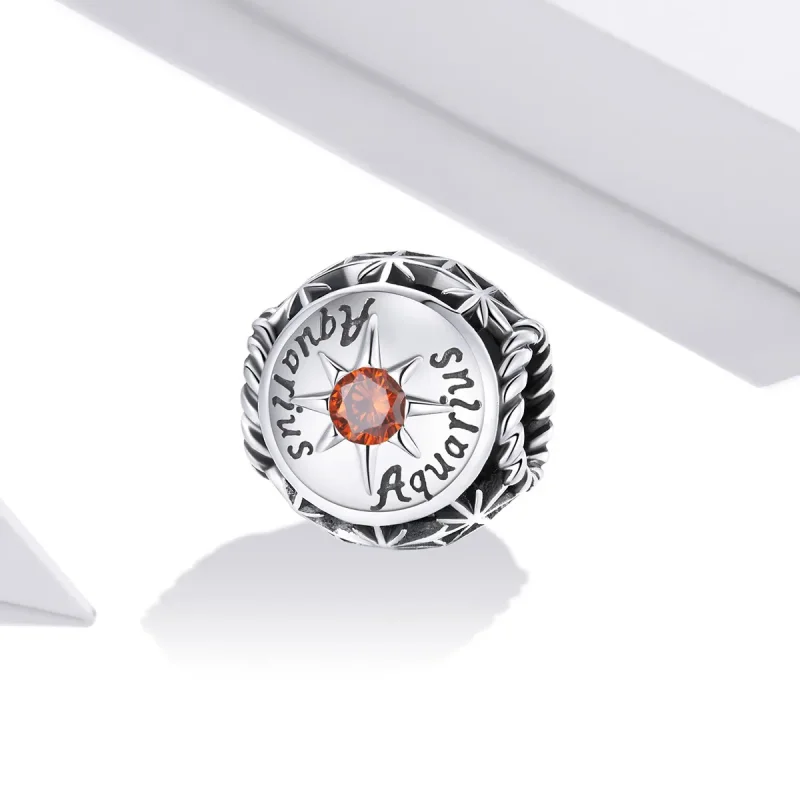 (slika za) Pandora Style Shining Aquarius Obesek - SCC1725-11 - Ogled 2