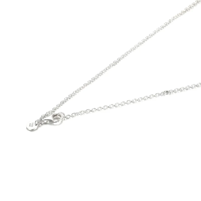 (slika za) Ogrlica Pandora Globe - 399235C01 - Ogled 4