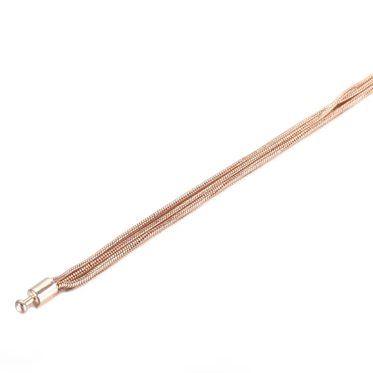 Zapestnica Pandora Rose Moments - 589338C00