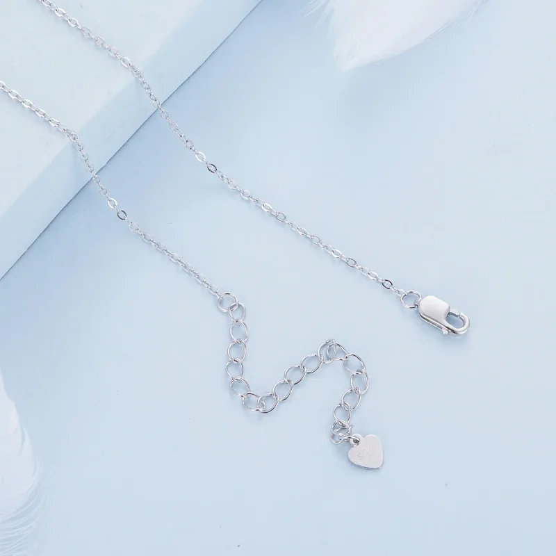 (slika za) Družinska kroglasta ogrlica v stilu Pandora - BSN315 - Ogled 5