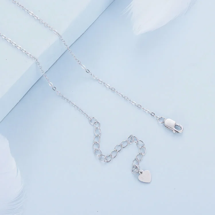 Personalizirana ogrlica v stilu Pandora - BSN314