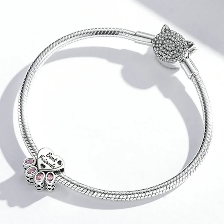 Razprodaja Pandora Style Charm Friend - BSC517