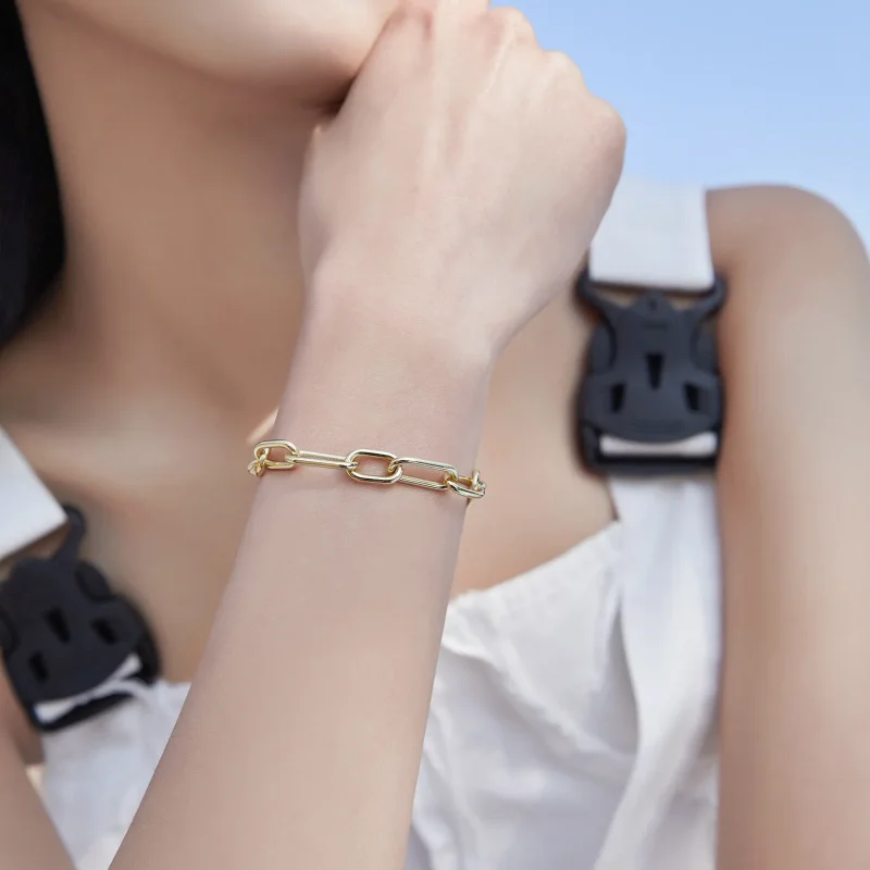 (slika za) Zapestnica Pandora Style Link Me - BSB078 - Ogled 3