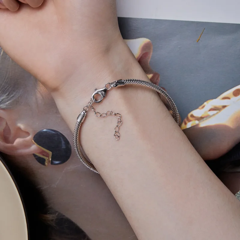 (slika za) Zapestnica s kačjo verižico v slogu Pandora - SCB252 - Ogled 6