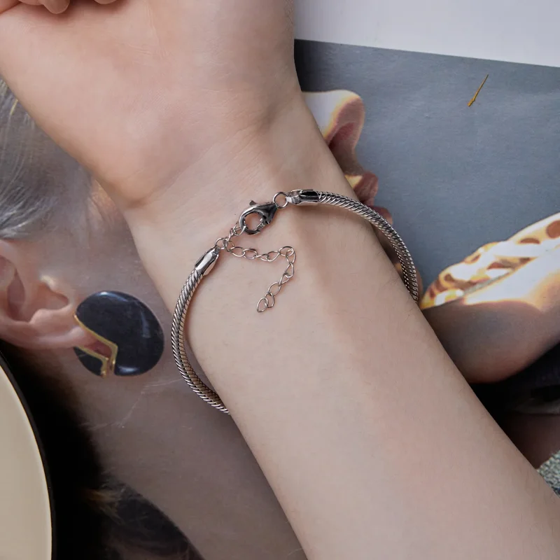 (slika za) Zapestnica s kačjo verižico v slogu Pandora - SCB252 - Ogled 8