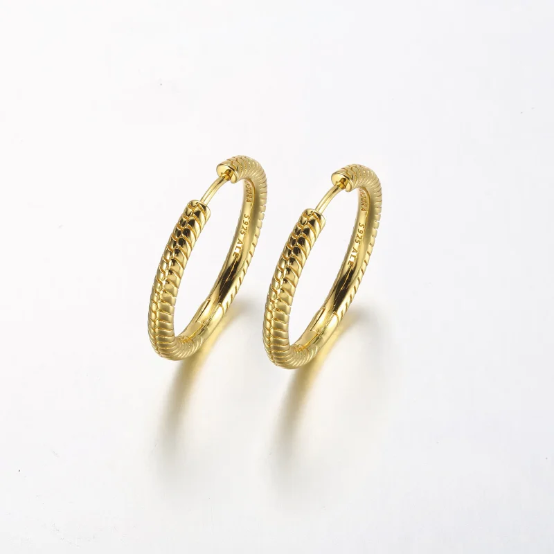 (slika za) Pandora Moments Charm Hoop Uhani - 269532C00 - Ogled 2