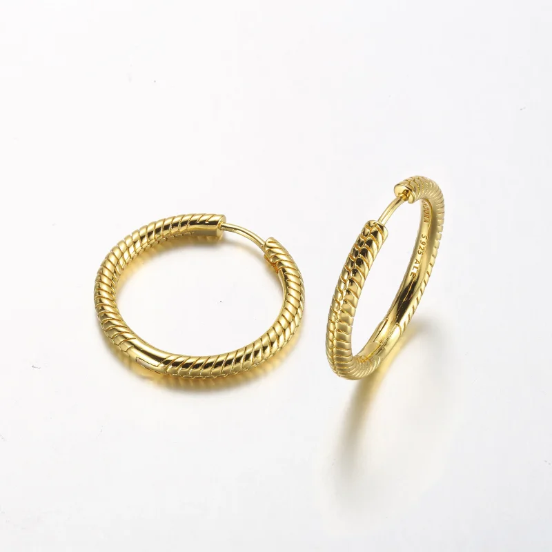 (slika za) Pandora Moments Charm Hoop Uhani - 269532C00 - Ogled 3