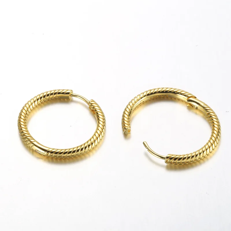 (slika za) Pandora Moments Charm Hoop Uhani - 269532C00 - Ogled 4