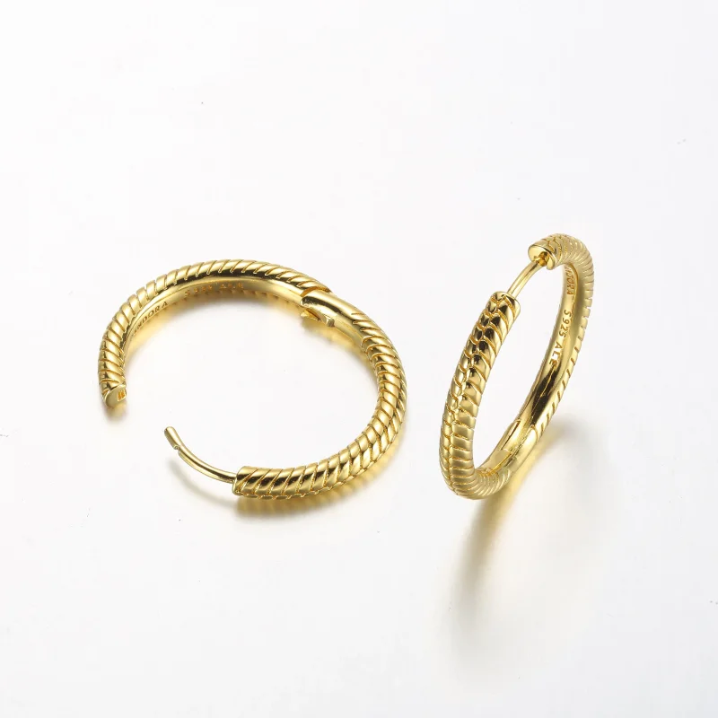 (slika za) Pandora Moments Charm Hoop Uhani - 269532C00 - Ogled 5