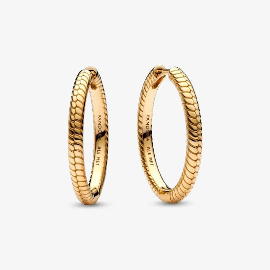 (slika za) Pandora Moments Charm Hoop Uhani - 269532C00