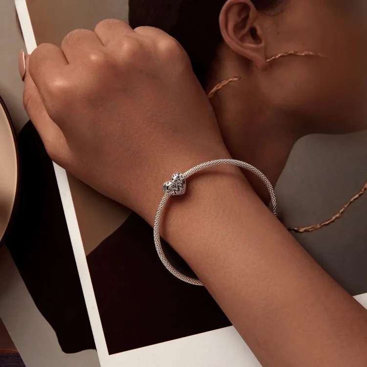 Obesek s srcem za zahvalni dan Pandora Style - BSC923