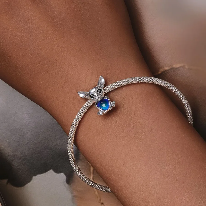 (slika za) Obesek za čivavo v stilu Pandora - SCC2601 - Ogled 10