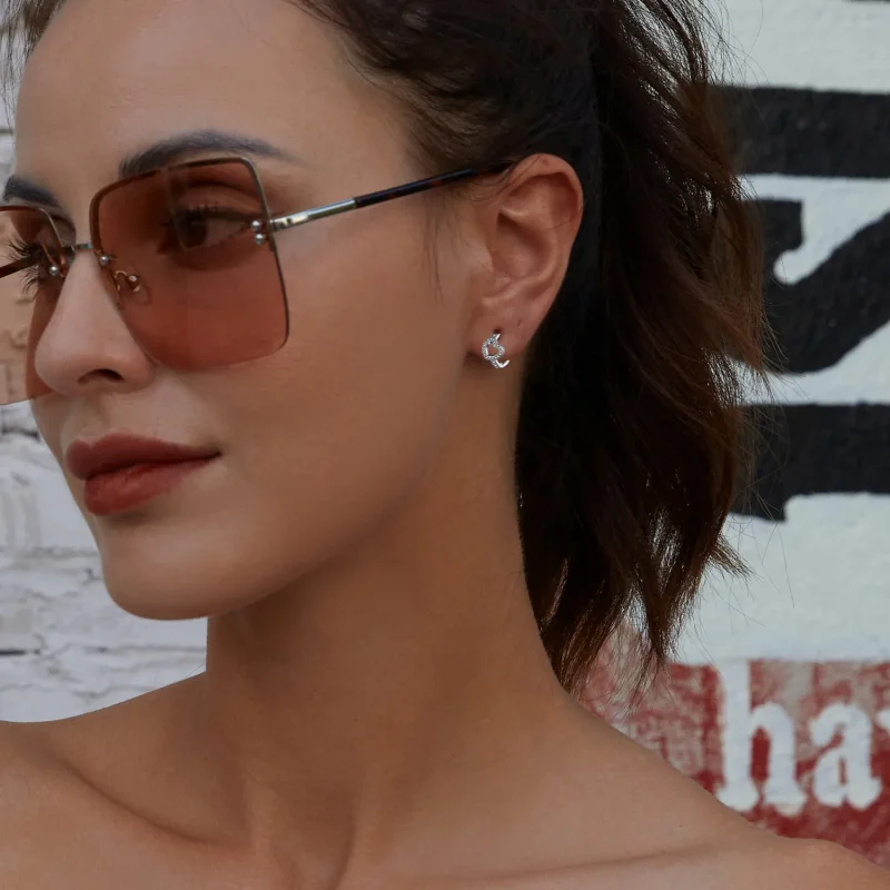 (slika za) Obročasti uhani v obliki srca v slogu Pandora - BSE879 - Ogled 8