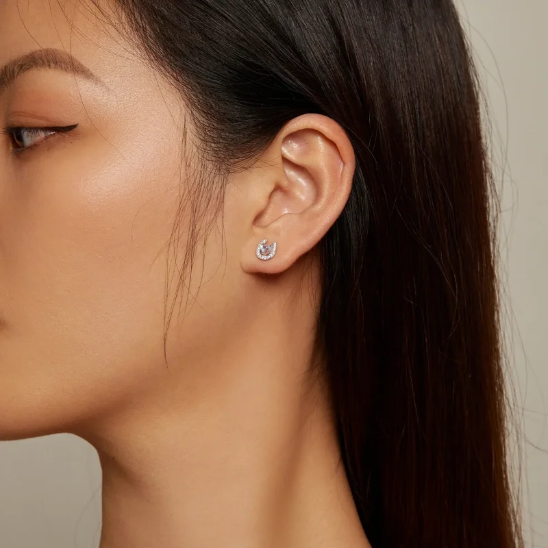 (slika za) Okrogli ušesni čepki s čepki in uhani v obliki podkve v slogu Pandora - SCE1612 - Ogled 5