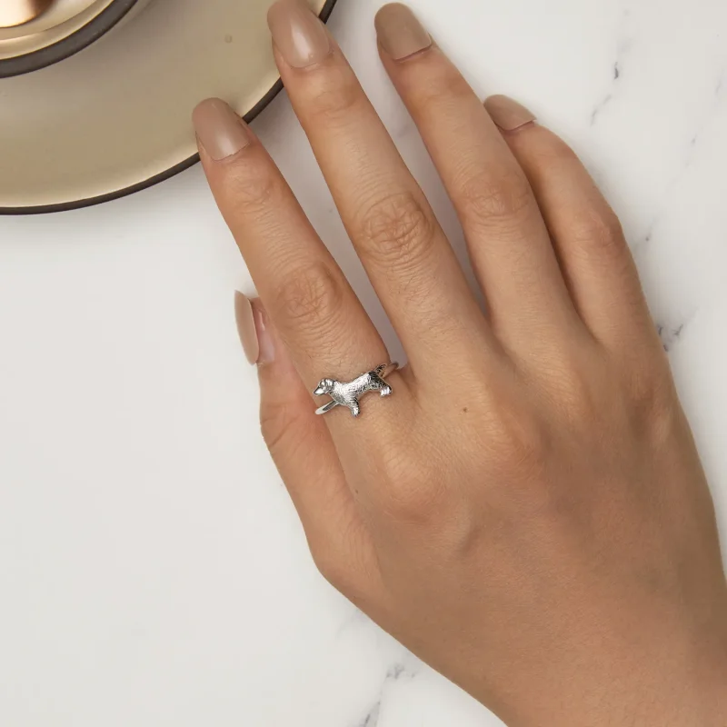 (slika za) Prstan za malega zlatega prinašalca v stilu Pandora - SCR952 - Ogled 5