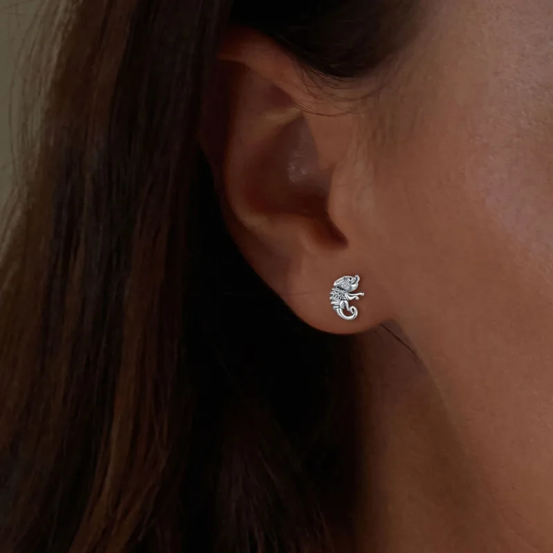 (slika za) Uhani s kameleonskimi čepi v stilu Pandora - SCE1661 - Ogled 5