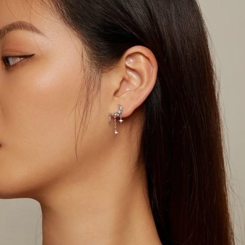 (slika za) Uhani z lunastimi resicami v slogu Pandora - BSE858 - Ogled 5