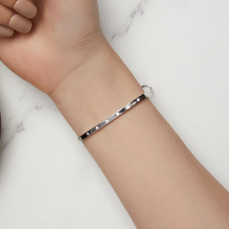 (slika za) Zapestnica v stilu Pandora - BSB145 - Ogled 6