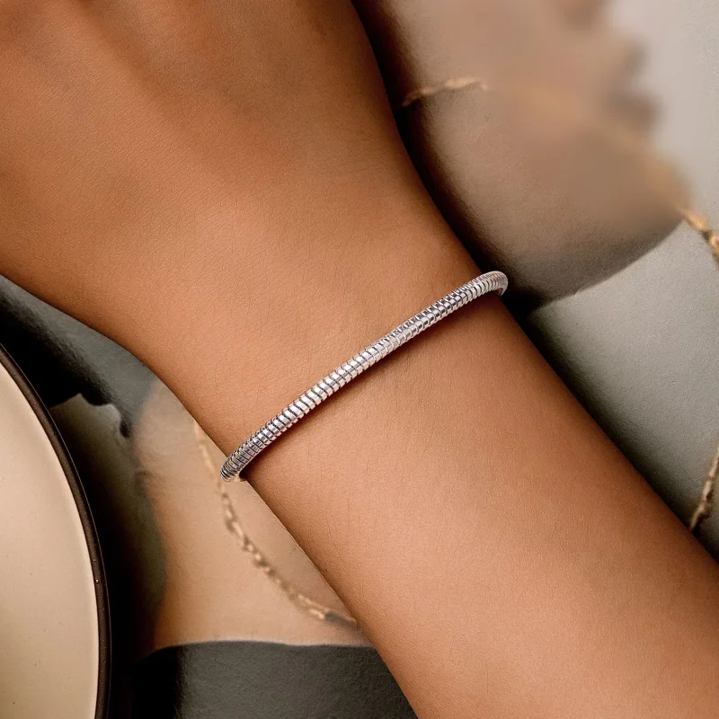 (slika za) Zapestnica z verigo iz kačje kosti v slogu Pandora - BSB150 - Ogled 4