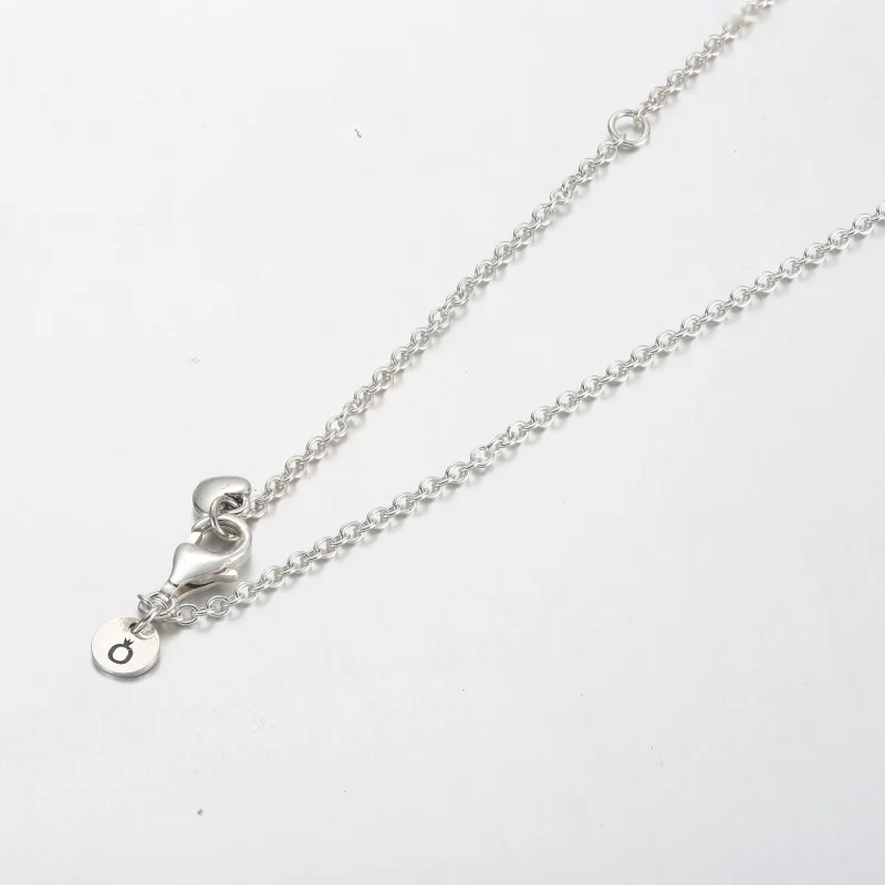 (slika za) PANDORA Ogrlica z obeskom iz obročkov družina za vedno - 391455C01 - Ogled 4