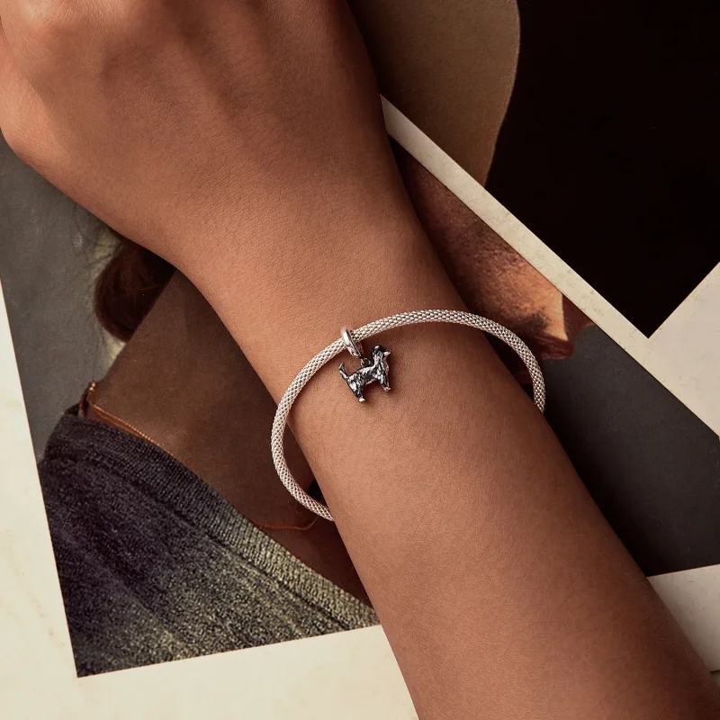 (slika za) Obesek Border Collie v stilu PANDORA - SCC2836 - Ogled 5