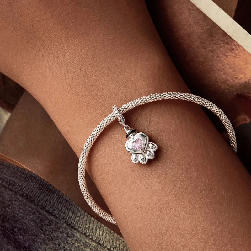 (slika za) Obesek v spominski škatli žare za hišne ljubljenčke PANDORA Style - BSC1037 - Ogled 7