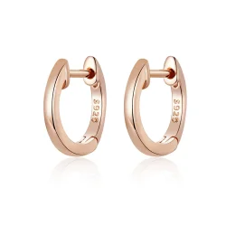 PANDORA Style Simple uhani - SCE808-C