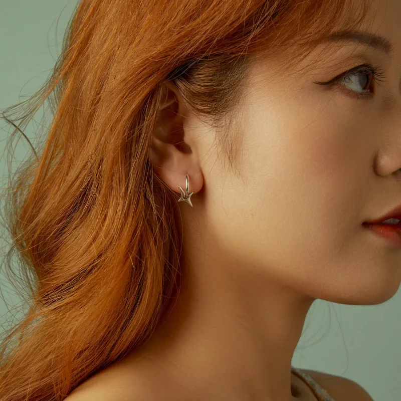 (slika za) Zvezdasti uhani v stilu PANDORA - BSE1083 - Ogled 10