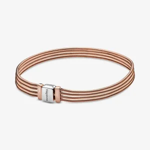 (slika za) Zapestnica Pandora Reflexions - 588782C00