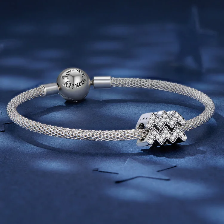 Pandora Style Aquarius Lucky Zodiac Charm - SCC2516-12