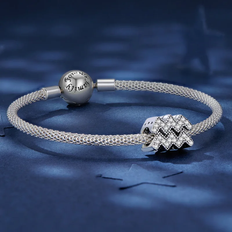 (slika za) Pandora Style Aquarius Lucky Zodiac Charm - SCC2516-12 - Ogled 5