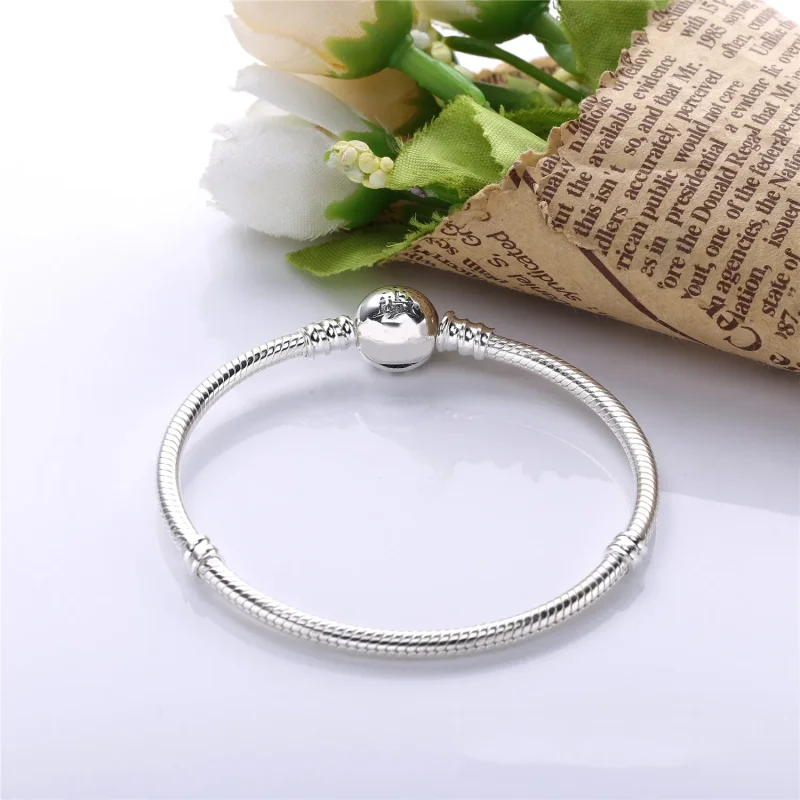 (slika za) PANDORA zapestnica Čudoviti svet - PE00045-1 - Ogled 2