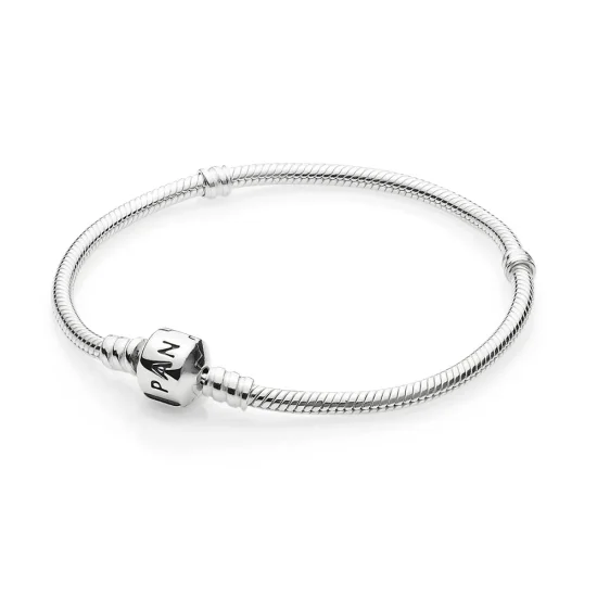 (slika za) Zapestnica Pandora Moments - 590702HV