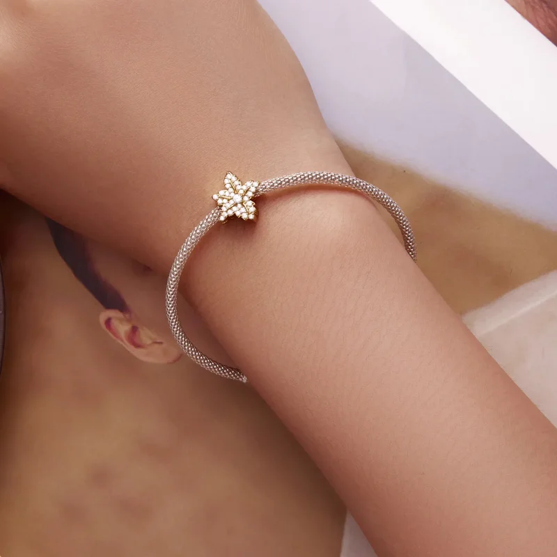 (slika za) Obesek z javorjevim listom v stilu Pandora - BSC673 - Ogled 6