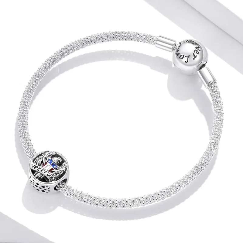 (slika za) Srebrni veteranski obesek v stilu Pandora - SCC1885 - Ogled 3