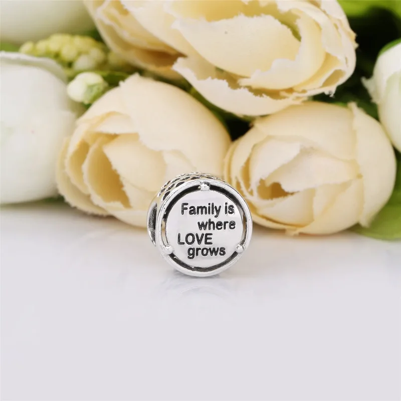 (slika za) Obesek PANDORA Family Roots - 797590 - Ogled 3