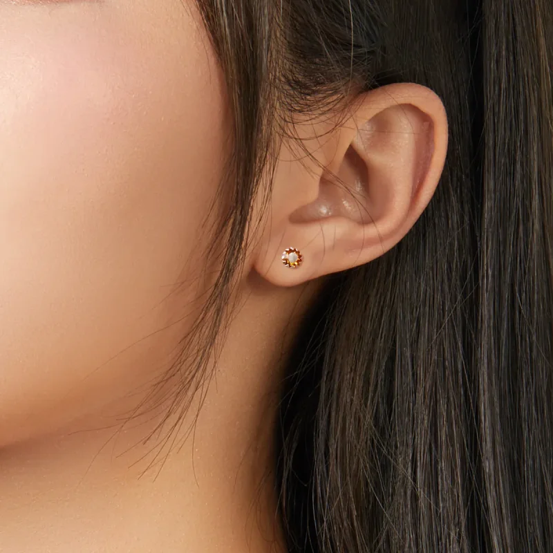 (slika za) Novembrski uhani s srebrnim rojstnim kamnom v stilu Pandora - SCE862-11 - Ogled 2