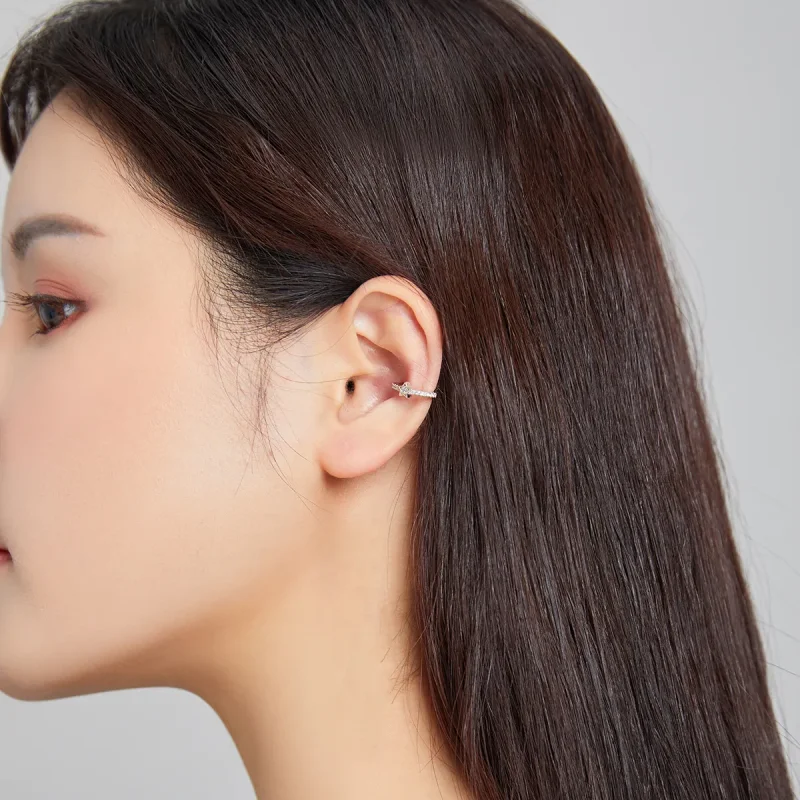 (slika za) Srebrna sponka za eno uho Pandora Style - SCE1024 - Ogled 4