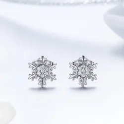 Srebrni elegantni uhani s snežinkami v slogu Pandora - BSE009