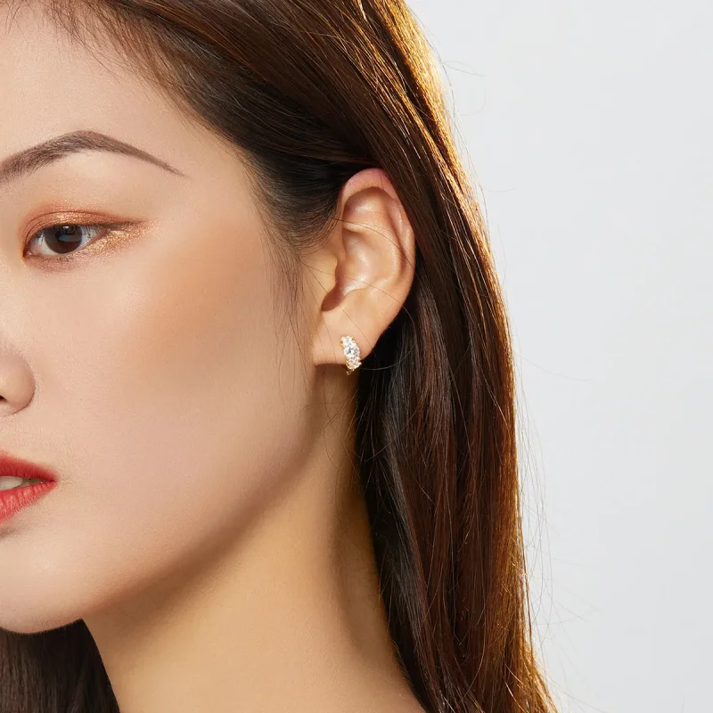 (slika za) Srebrni in pozlačeni romantični sijoči uhani v slogu Pandora - SCE485-B - Ogled 4