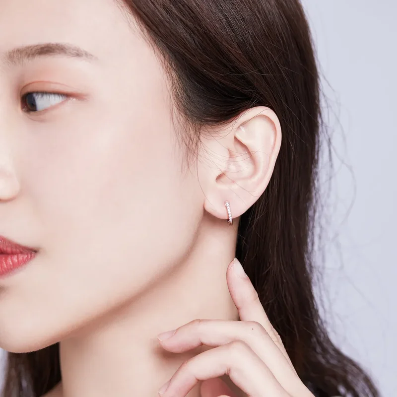 (slika za) Srebrni majhni okrogli obročasti uhani v stilu Pandora - SCE498-A - Ogled 6