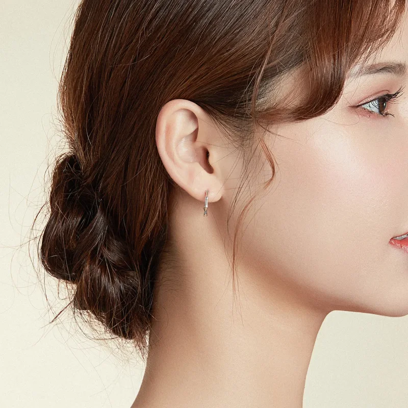 (slika za) Srebrni obročasti uhani iz bambusa v stilu Pandora - SCE988 - Ogled 6