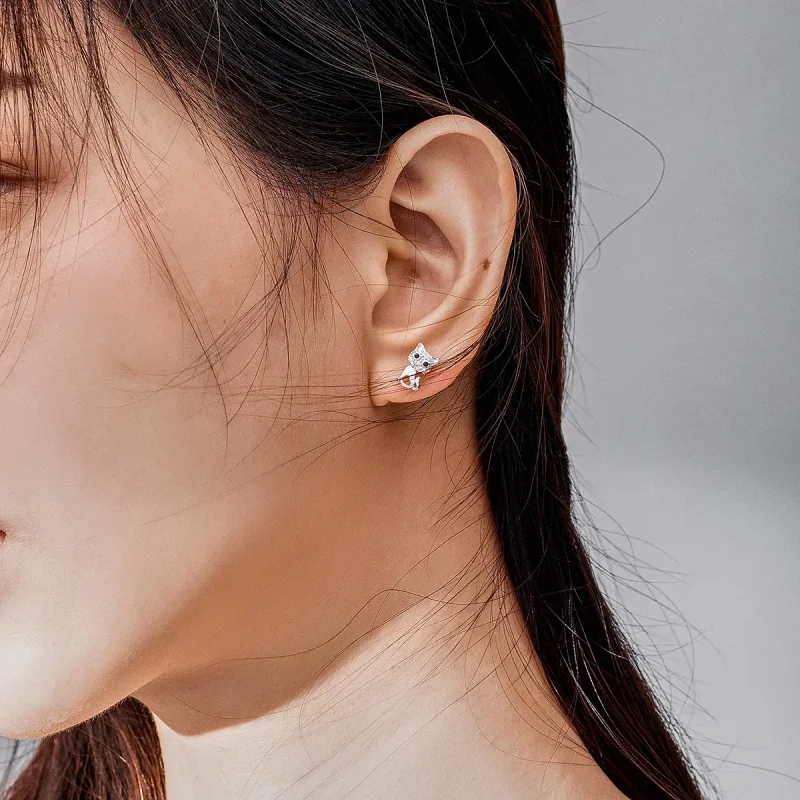 (slika za) Srebrni prikupni mačji uhani v slogu Pandora - SCE797 - Ogled 7