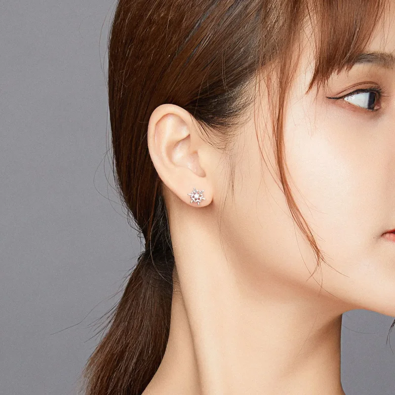 (slika za) Srebrni romantični uhani s snežinkami v slogu Pandora - BSE424 - Ogled 6