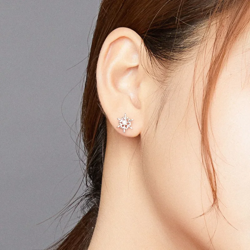 (slika za) Srebrni romantični uhani s snežinkami v slogu Pandora - BSE424 - Ogled 8