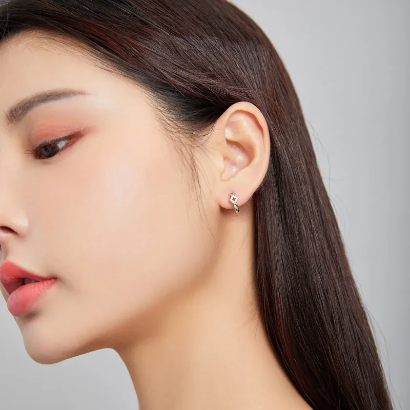 (slika za) Srebrni sijoči diamantni obročasti uhani v slogu Pandora - SCE1048 - Ogled 6